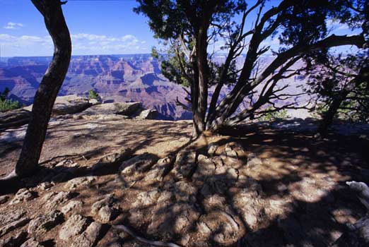 Photography art, top art galleries London, Paris, Rome, New York City, Hong Kong, Athens, Geneva, Los Angeles and Miami.